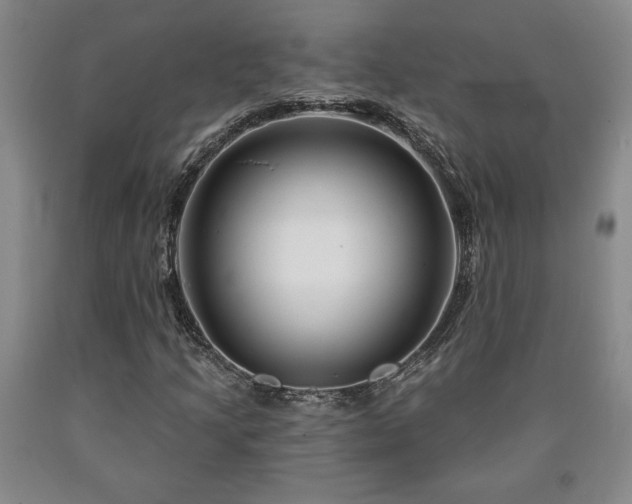 X0000090871205200707271243