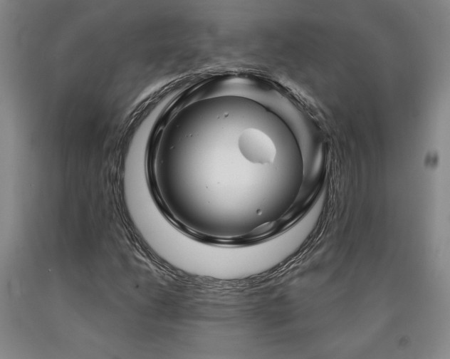 X0000090871206200707271243