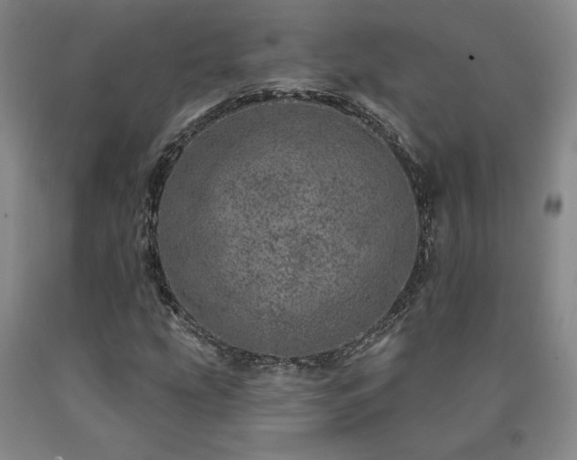X0000090871207200707271243