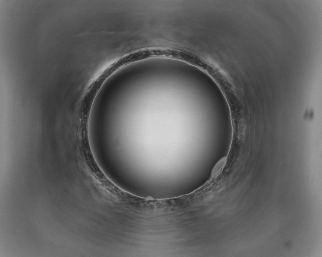 X0000090871208200707271243
