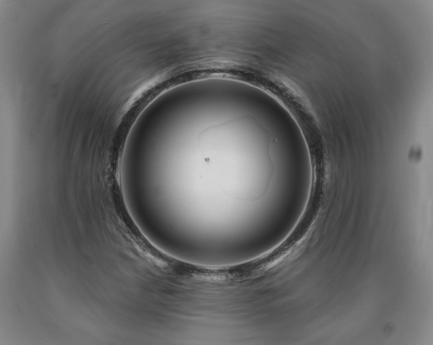 X0000090871210200707271243