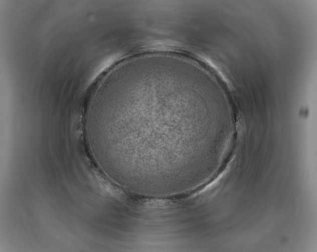 X0000090871211200707271243