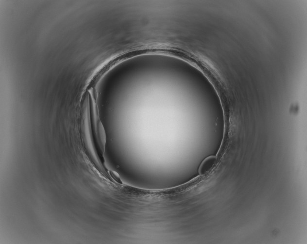 X0000090871212200707271243