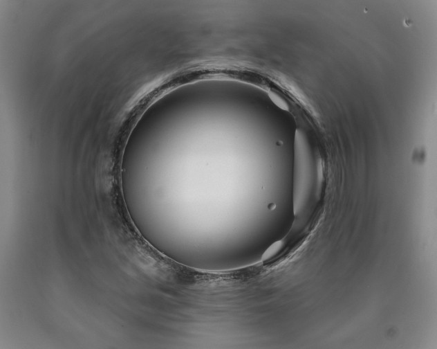 X0000090871213200707271243
