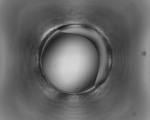 X0000090871214200707271243