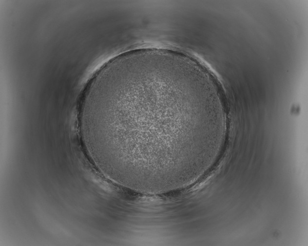 X0000090871215200707271243