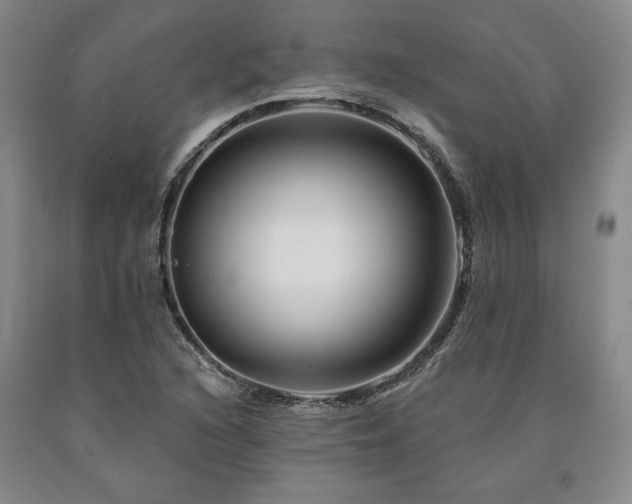 X0000090871216200707271243