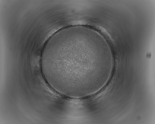 X0000090871217200707271243