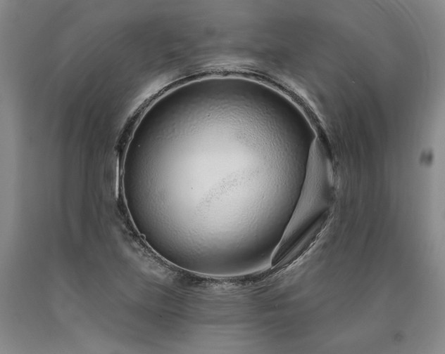X0000090871219200707271243