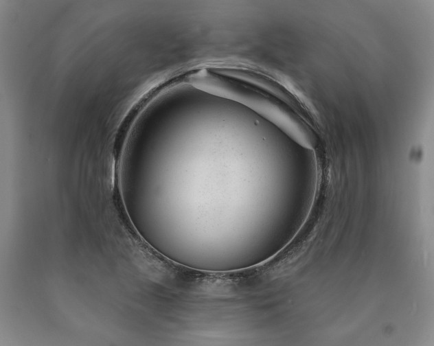 X0000090871221200707271244