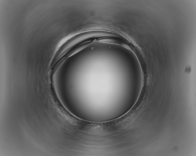 X0000090871222200707271244