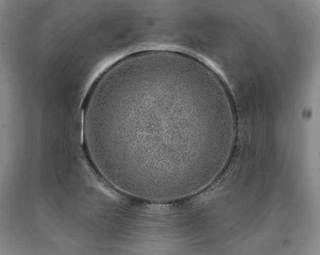 X0000090871223200707271244