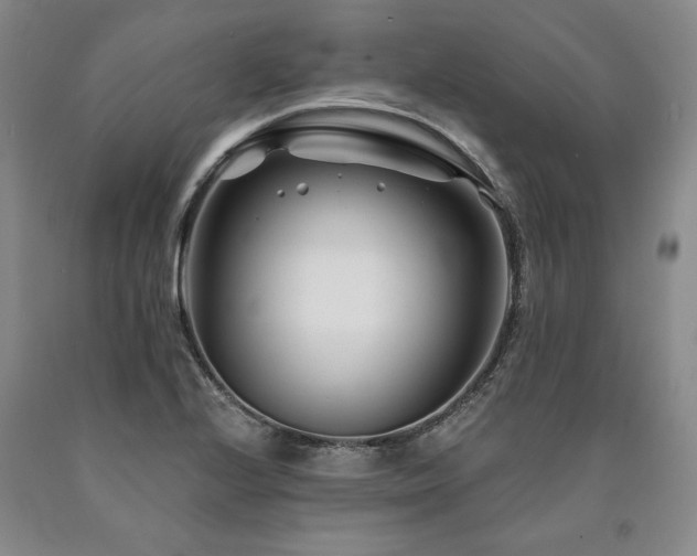 X0000090871224200707271244
