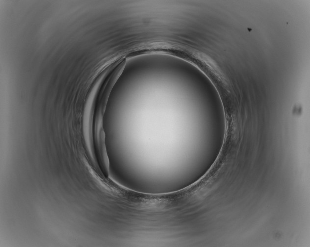 X0000090871225200707271244