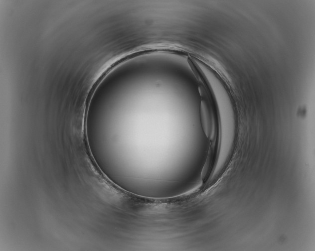 X0000090871228200707271244