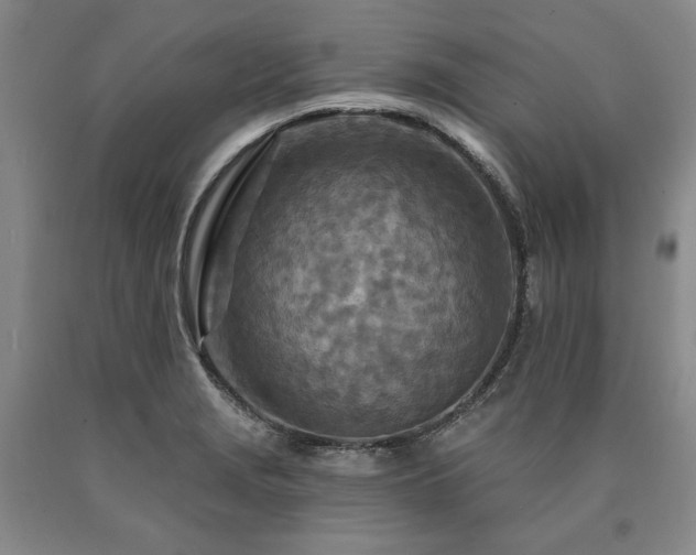 X0000090871229200707271244