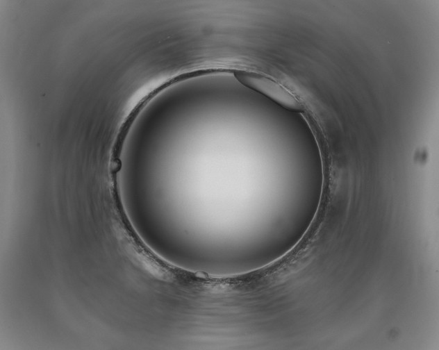 X0000090871230200707271244