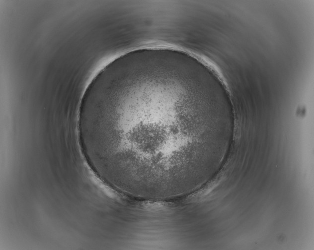 X0000090871231200707271244