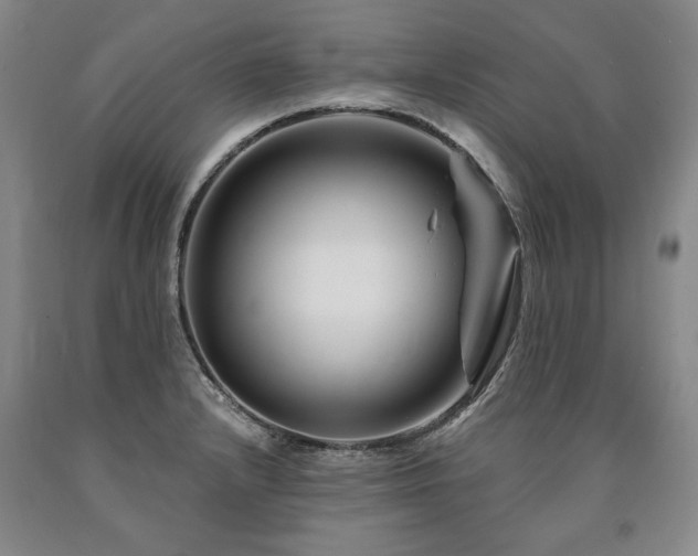 X0000090871232200707271244