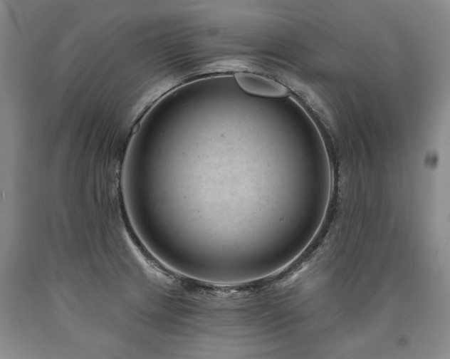 X0000090871233200707271244