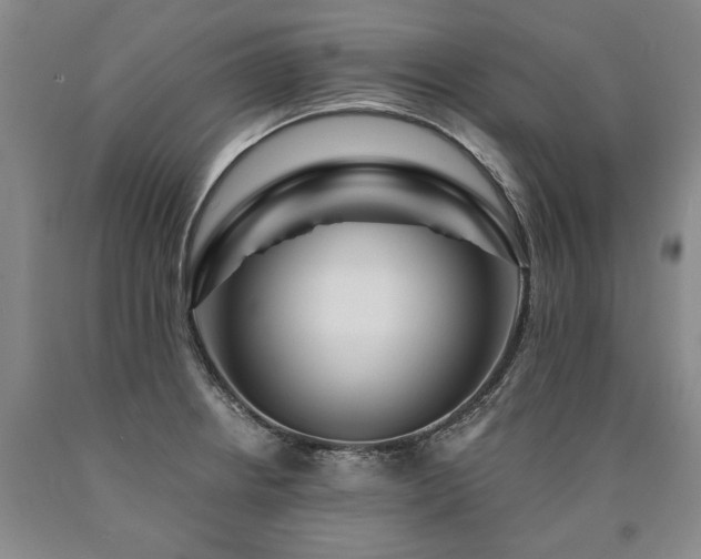 X0000090871234200707271244
