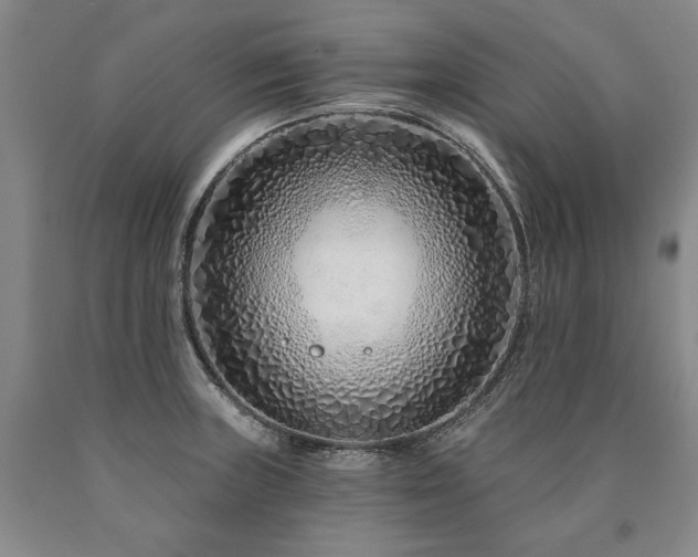 X0000090871235200707271244