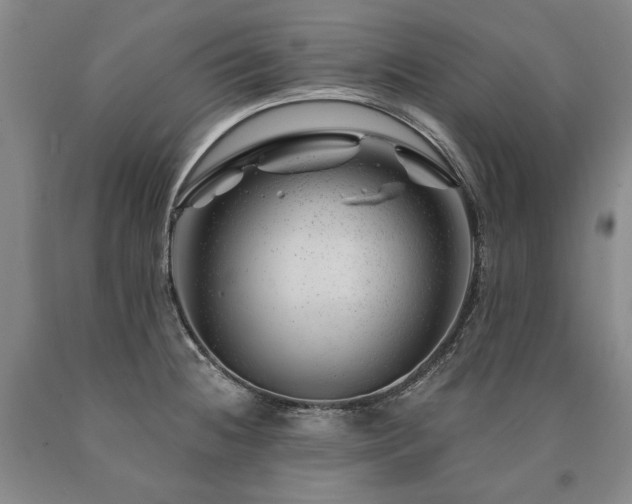 X0000090871236200707271244