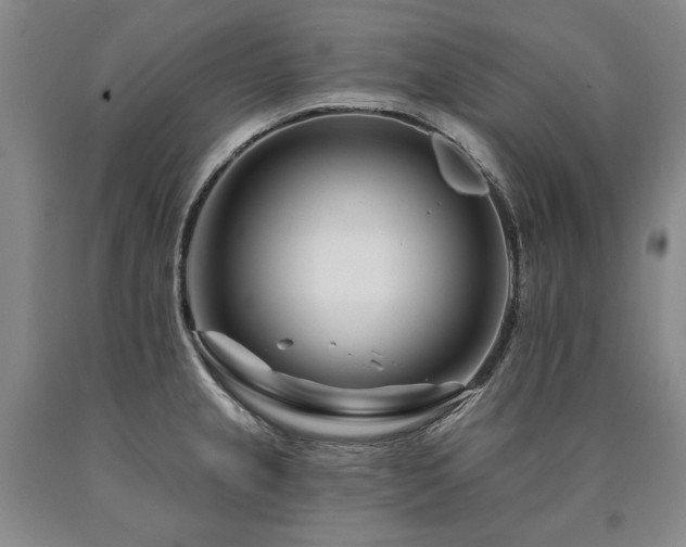 X0000090871237200707271244