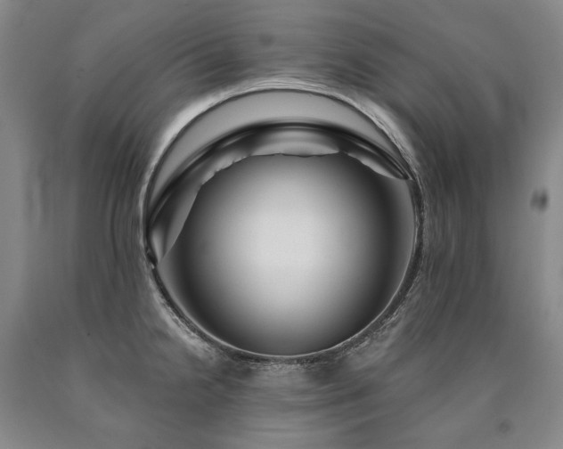 X0000090871238200707271244
