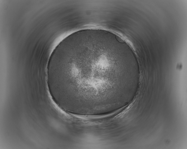 X0000090871239200707271244