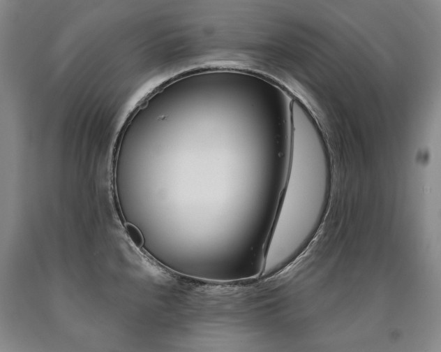 X0000090871240200707271244