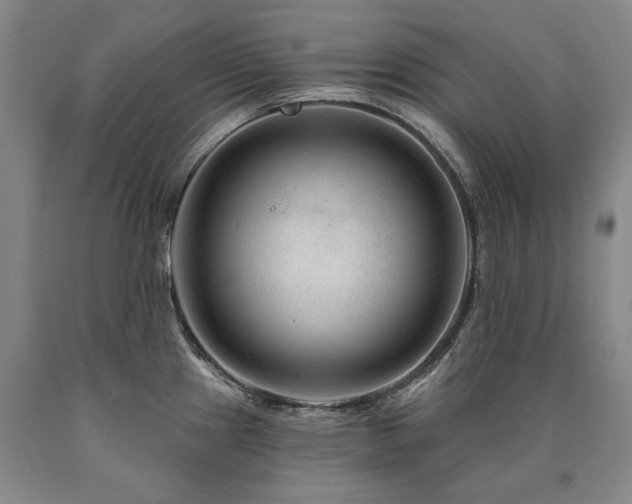 X0000090871241200707271244