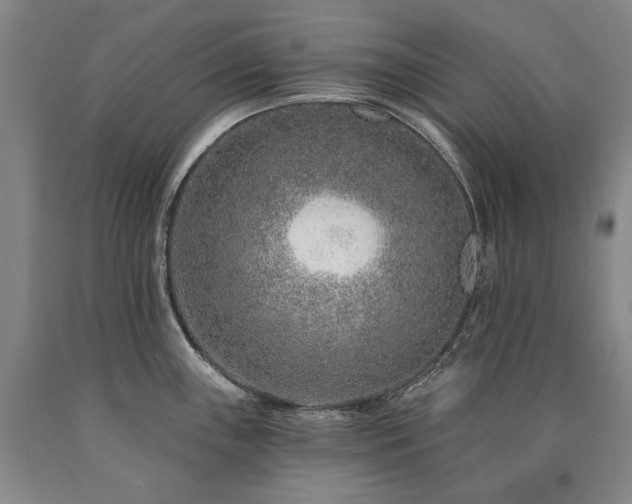 X0000090871243200707271244