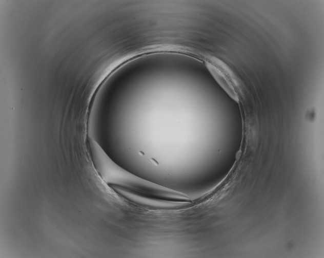 X0000090871244200707271244