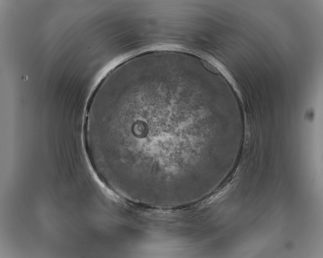 X0000090871245200707271244