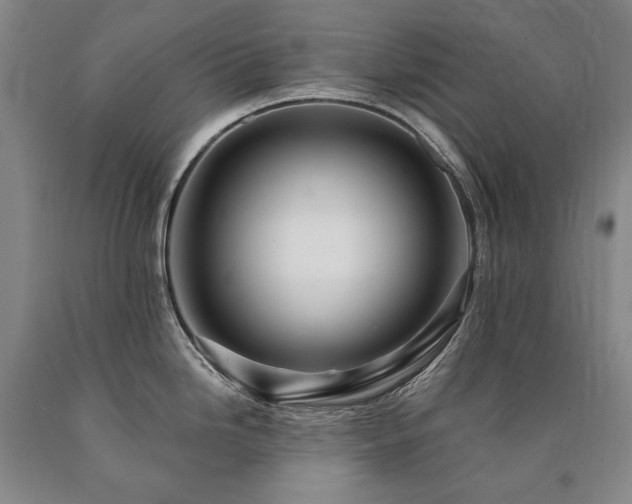 X0000090871246200707271244