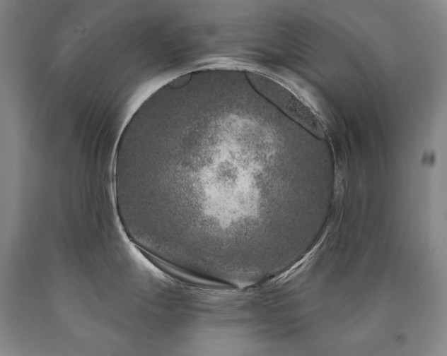 X0000090871247200707271244
