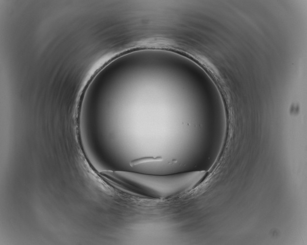 X0000090871248200707271244