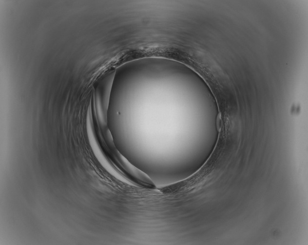 X0000090871250200707271243