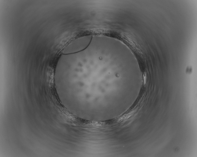 X0000090871251200707271243
