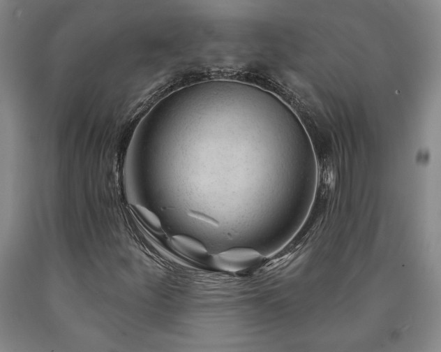 X0000090871252200707271243