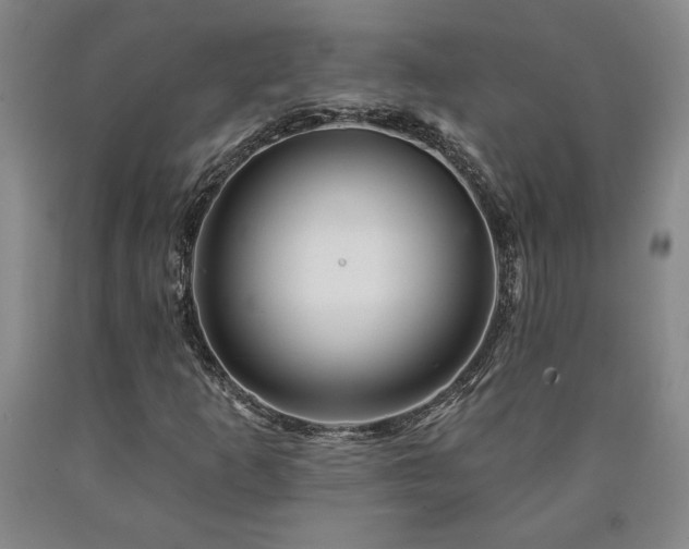 X0000090871253200707271243
