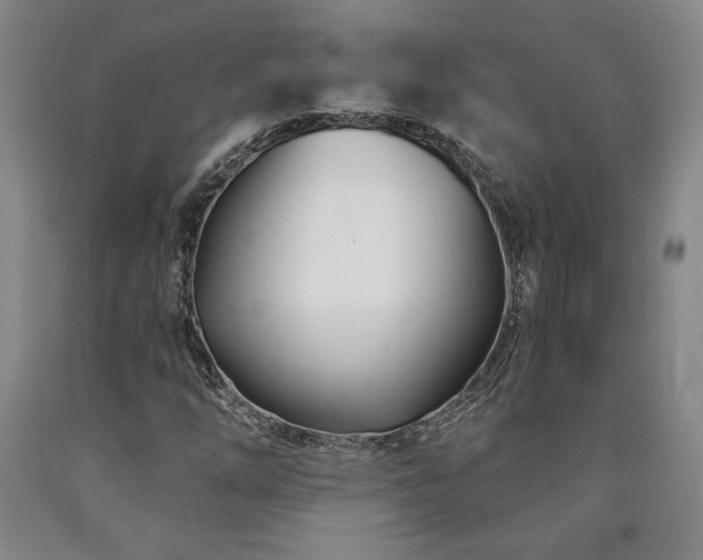 X0000090871254200707271243