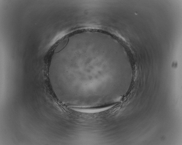 X0000090871255200707271243