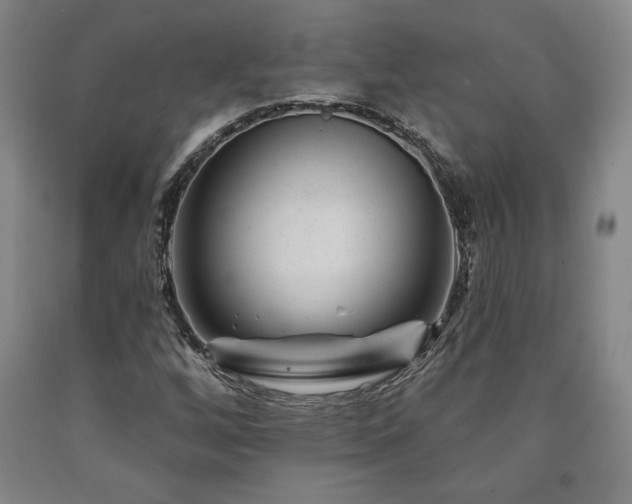 X0000090871256200707271243