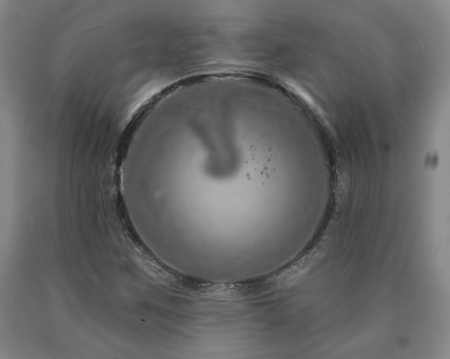 X0000090871259200707271243