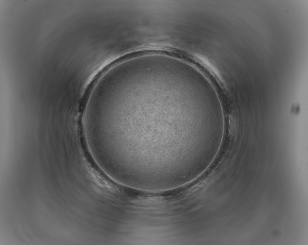 X0000090871260200707271243