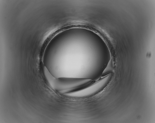 X0000090871261200707271243