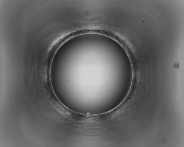 X0000090871262200707271243