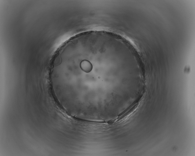 X0000090871263200707271243